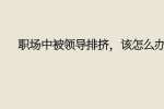 职场中被领导排挤，该怎么办?