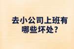 江苏职场资讯：去小公司上班有哪些坏处?