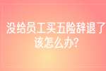 江苏劳务纠纷：没给员工买五险辞退了该怎么办?
